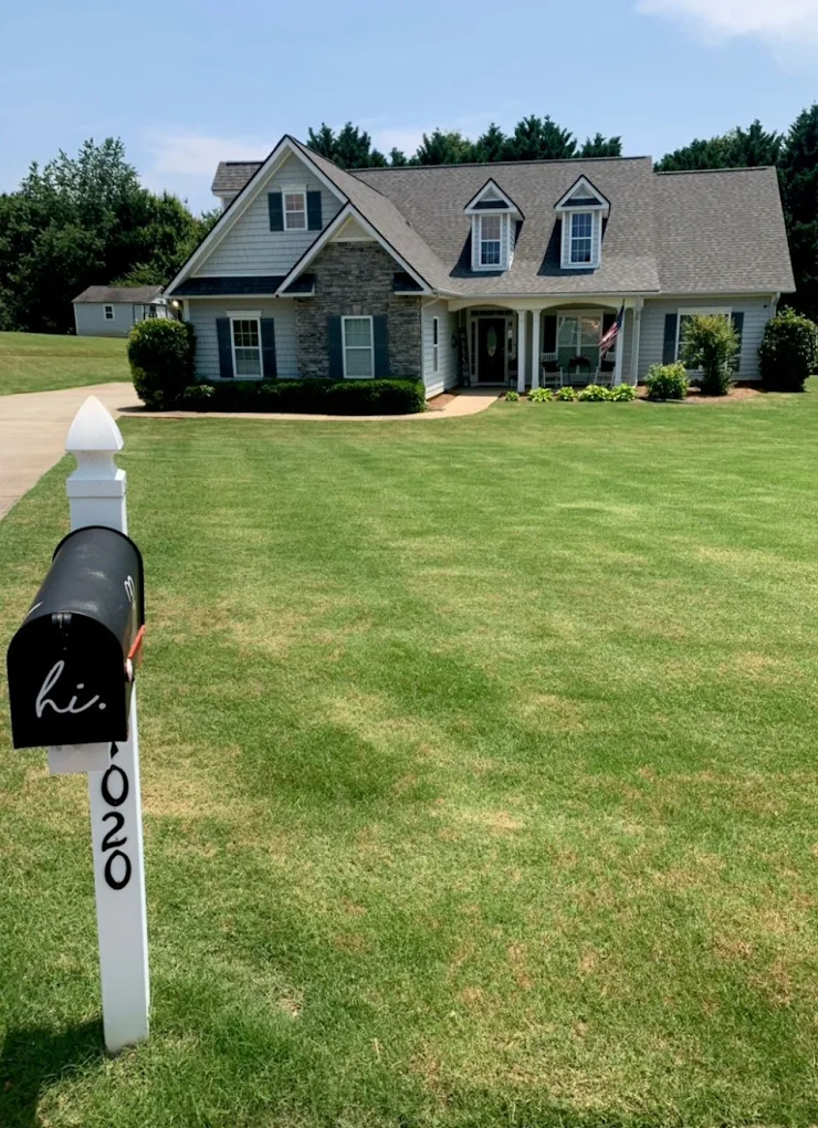 Lawn transformation 1