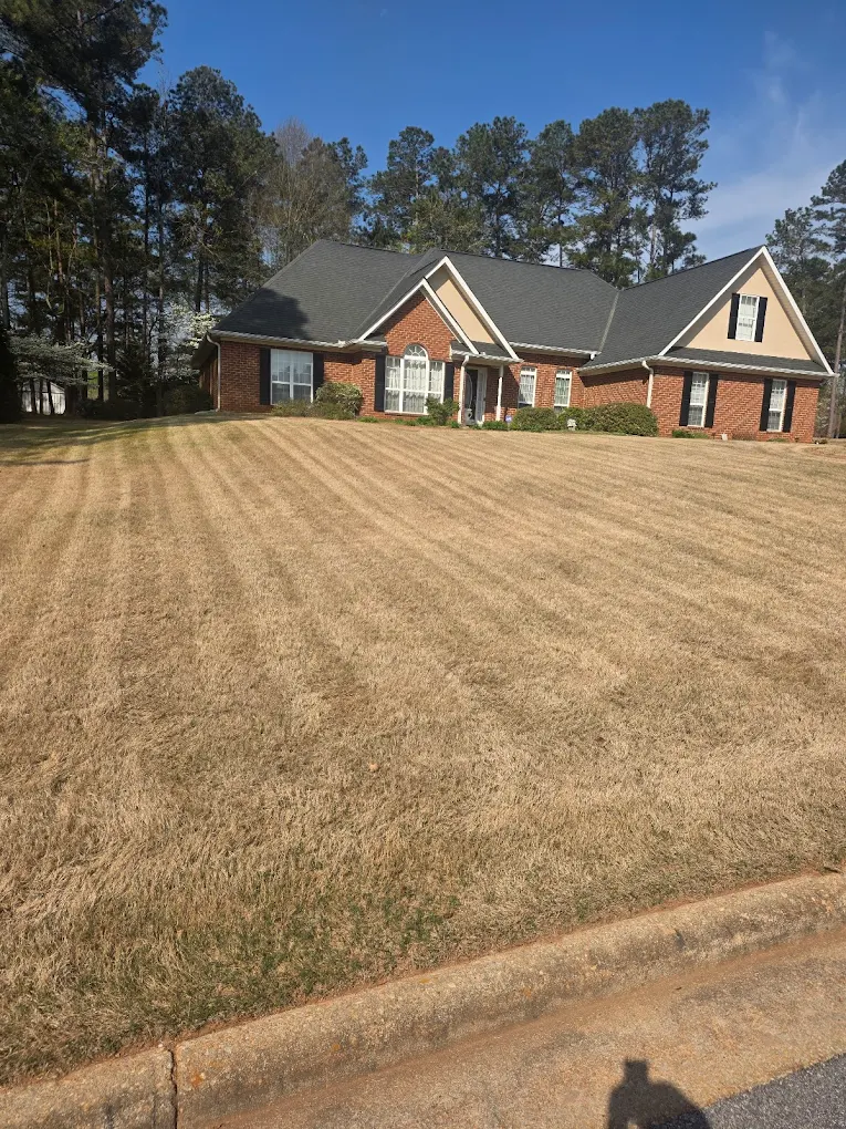 Lawn transformation 3